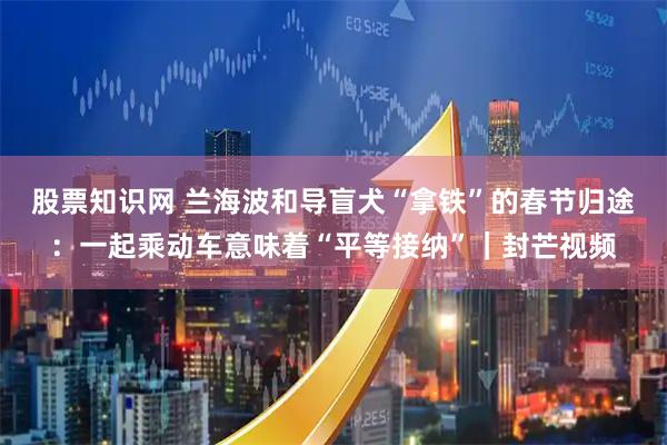 股票知识网 兰海波和导盲犬“拿铁”的春节归途：一起乘动车意味着“平等接纳”｜封芒视频