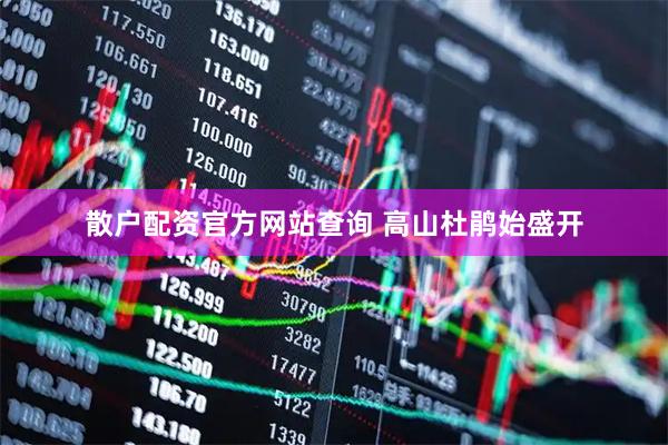 散户配资官方网站查询 高山杜鹃始盛开